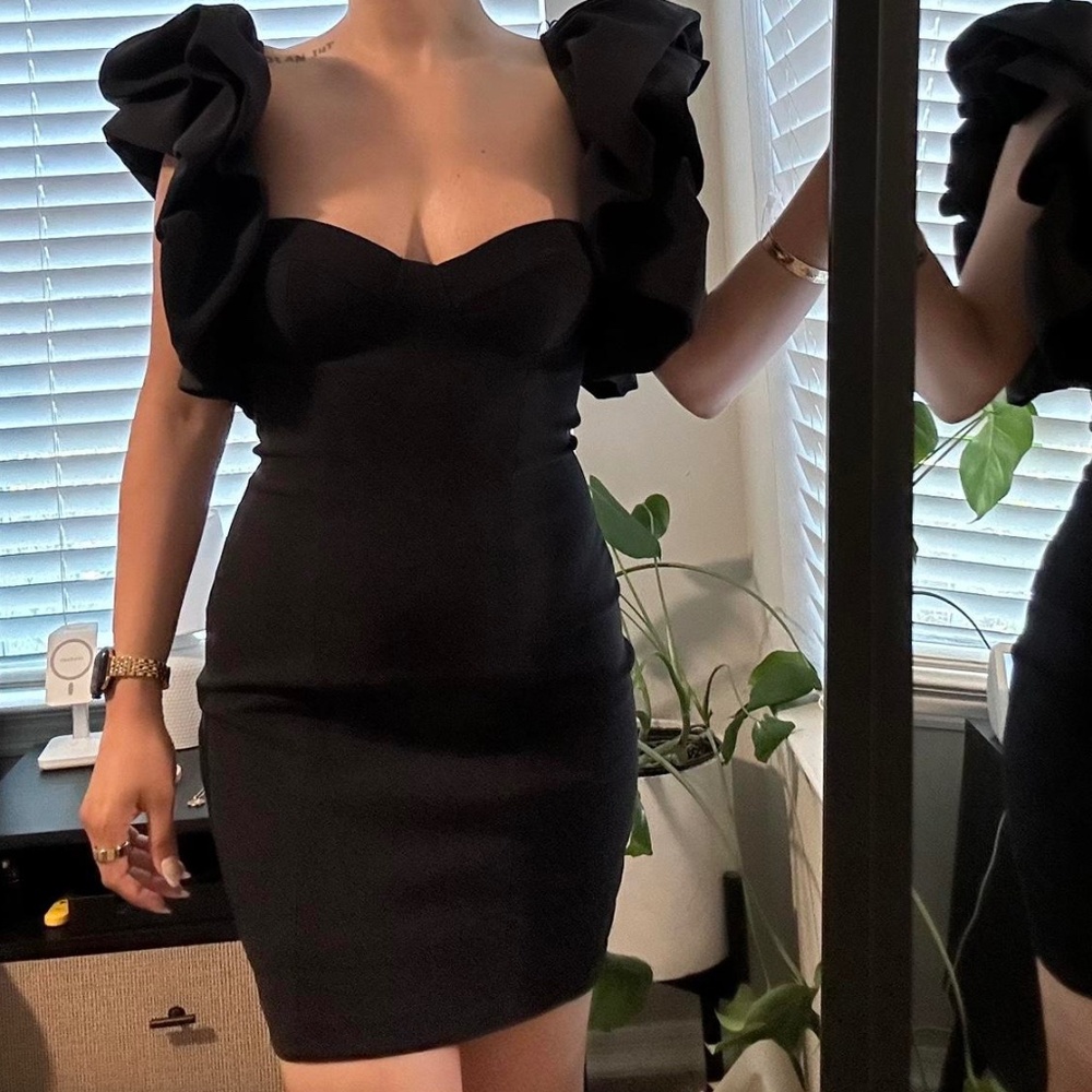 Zara Voluminous Ruffle Sleeve Mini Dress